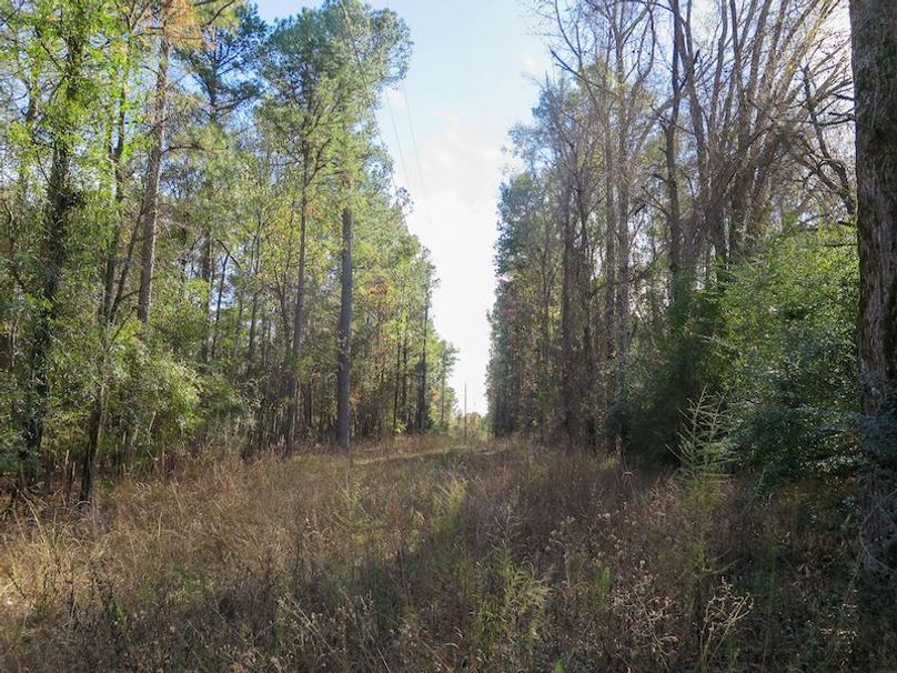 Lauderdale Co - 74 - Gillentine-18