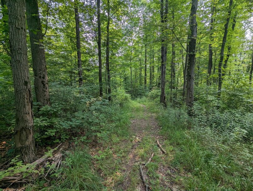 PXL_20230801_143936799