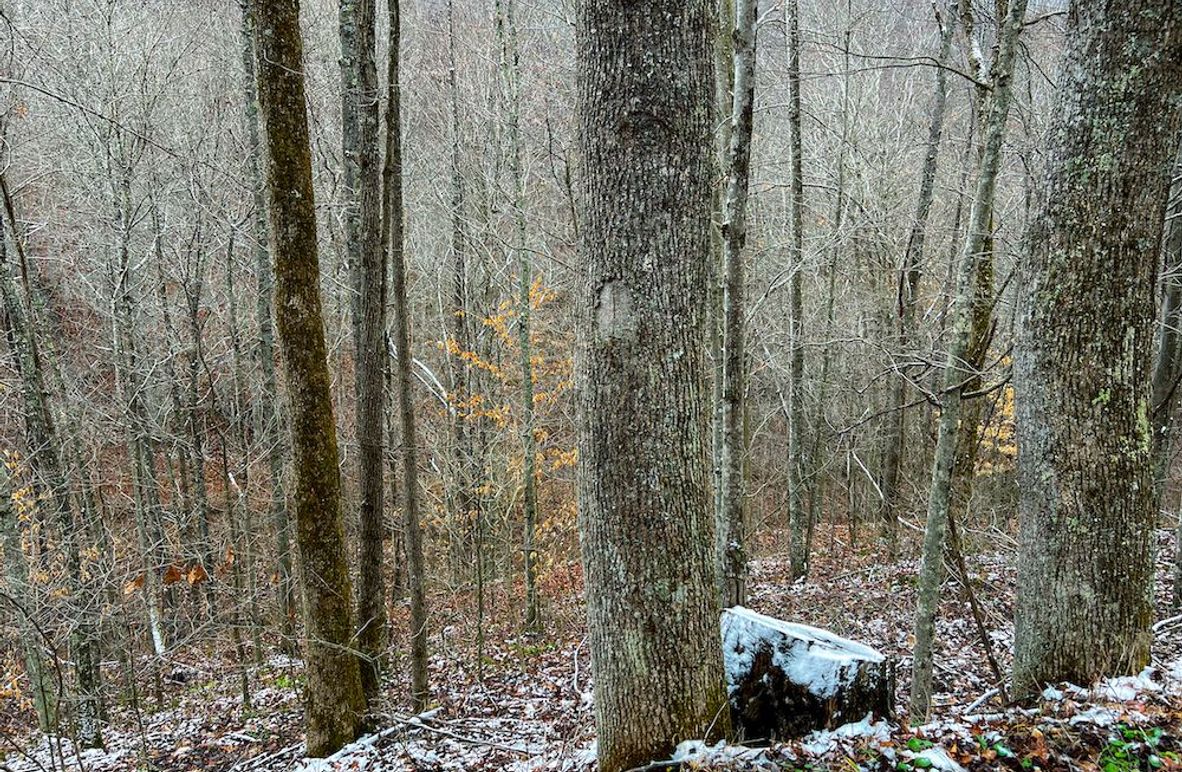 Braxton, WV 82 AC Greene -03