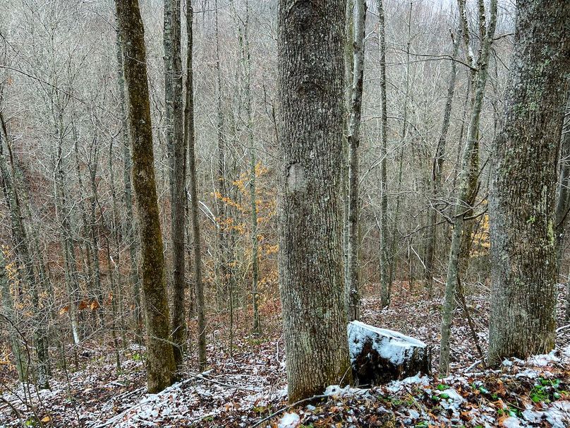 Braxton, WV 82 AC Greene -03