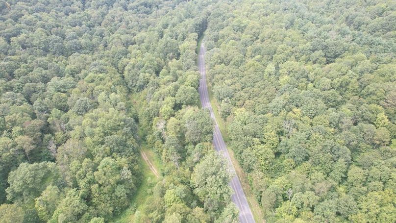 dji_fly_20250804_152150_480_1754355837562_photo