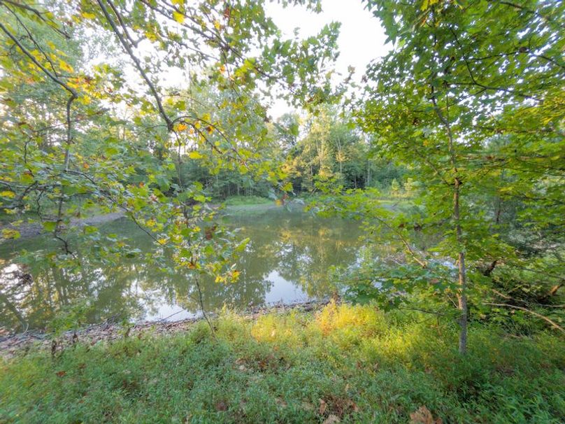 Hinds Co - 78 - Newman-13