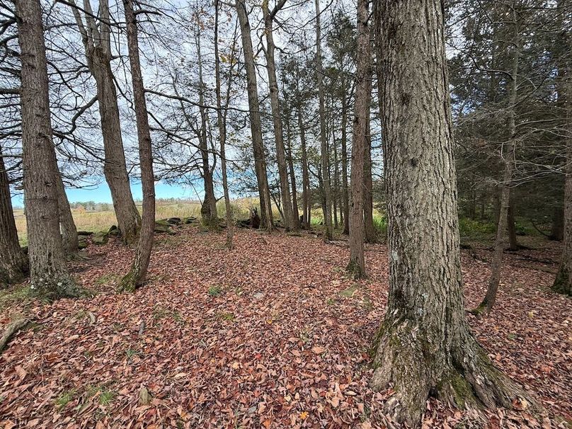 Chemung_184.12_Sterling 55