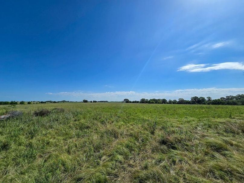 Copy of 20250729_104930