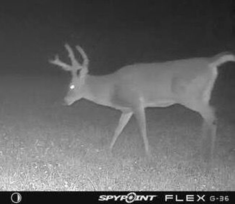 F1E8EE69-68D7-497F-9E36-F7438F66A707_4_5005_c