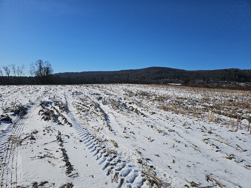 photo_5972ad01-df3d-45f8-93f0-9f4df768536e