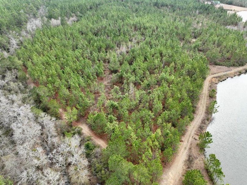 dji_fly_20260211_133242_313_1770835094031_photo