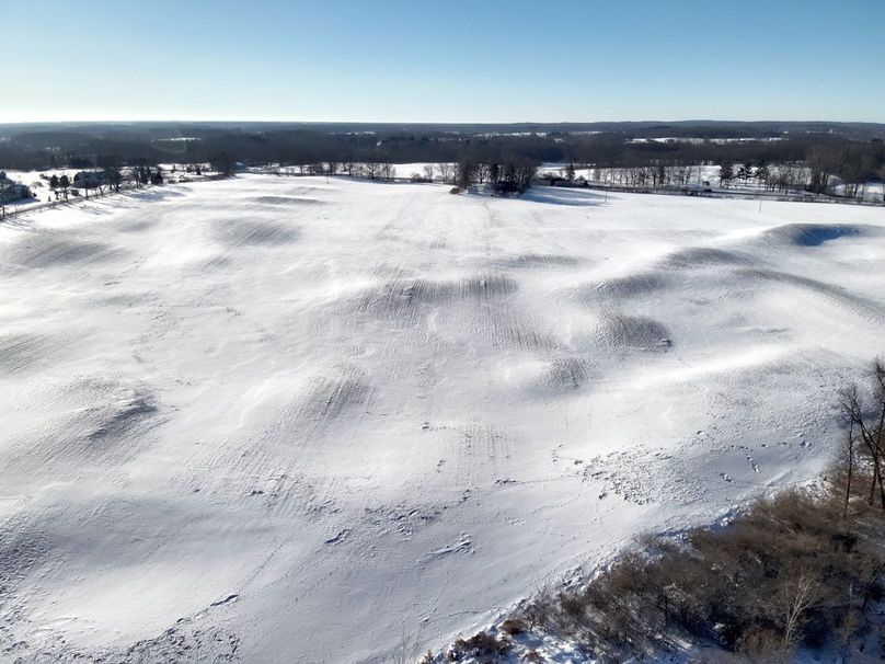 Copy of Tract 3 looking S to M-50 Large