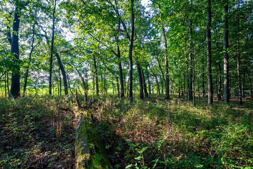 Copy of DSC06172 Large