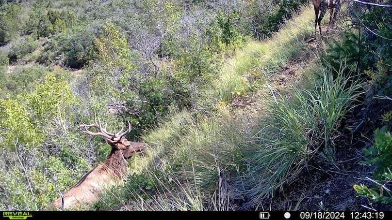 016578000756376-36-3-09182024124319-SYFW00021