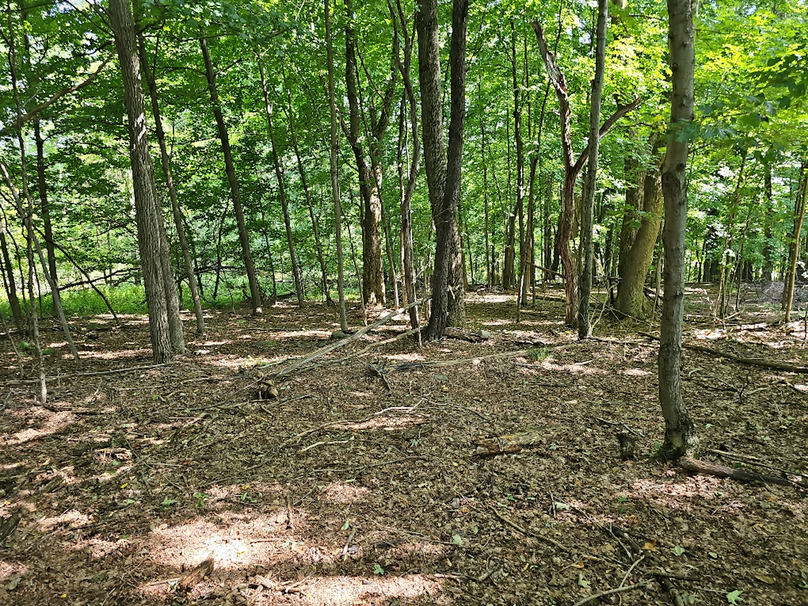 photo_d8efdac1-d614-4c62-9637-faefb8571951