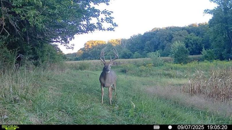 016579000632302-100-4-09072025190520-SYFW00711