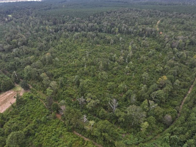 dji_fly_20250915_142742_0460_1758029015906_photo