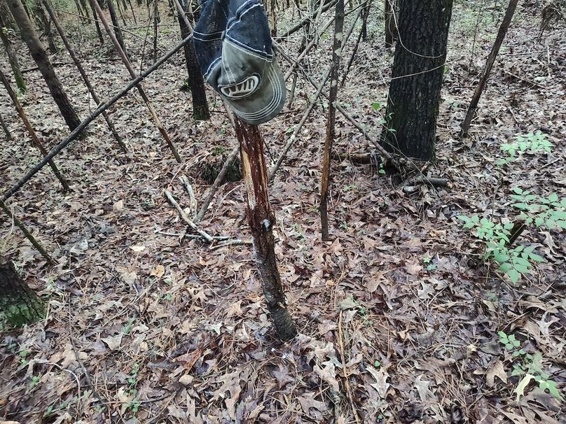 IMG_20250611_192351672