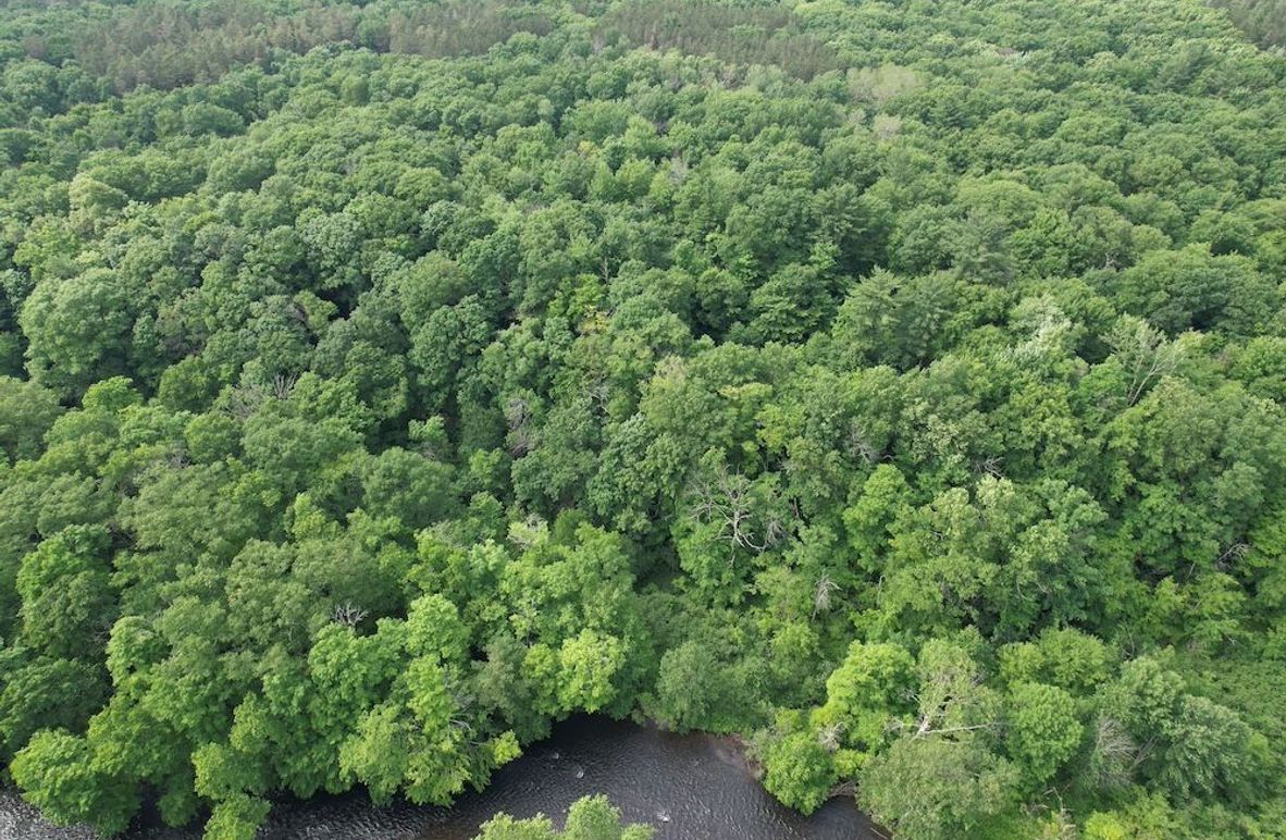 Oswego_22.46-Ross-French_Photos_2