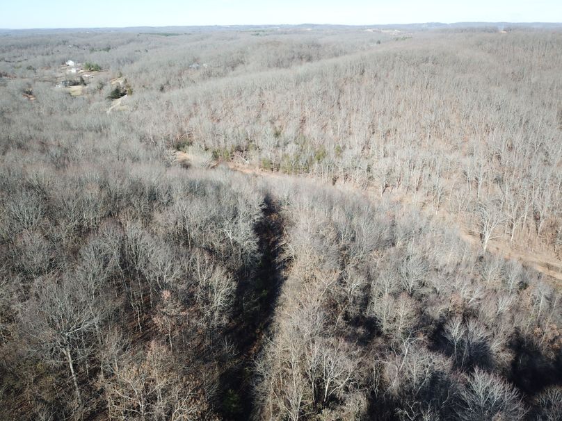 DJI_0089