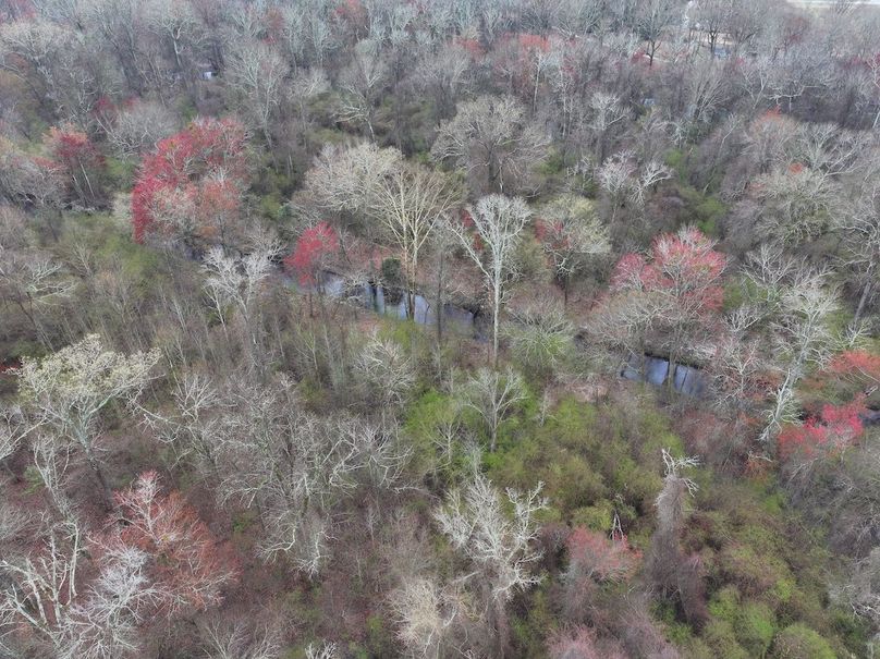 DJI_20240305132745_0052_D