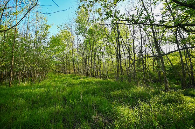 vandalia 450 (2)-2992