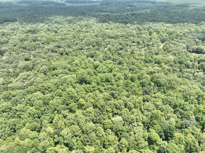 dji_fly_20230731_132828_449_1690845679267_photo