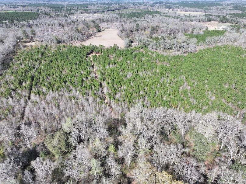 dji_fly_20260302_130902_0352_1772559696745_photo