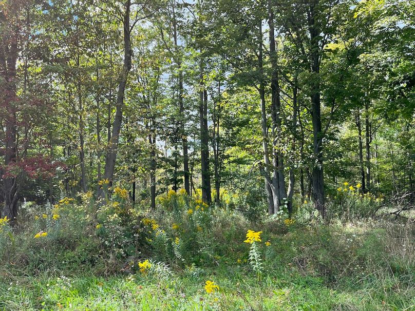 Schuyler_42.08_Austin Photo 29