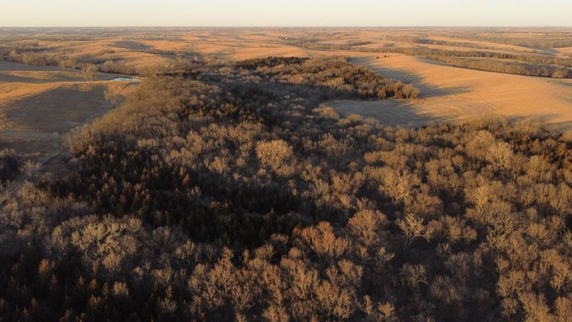 WORTH CO MO 537.44_21