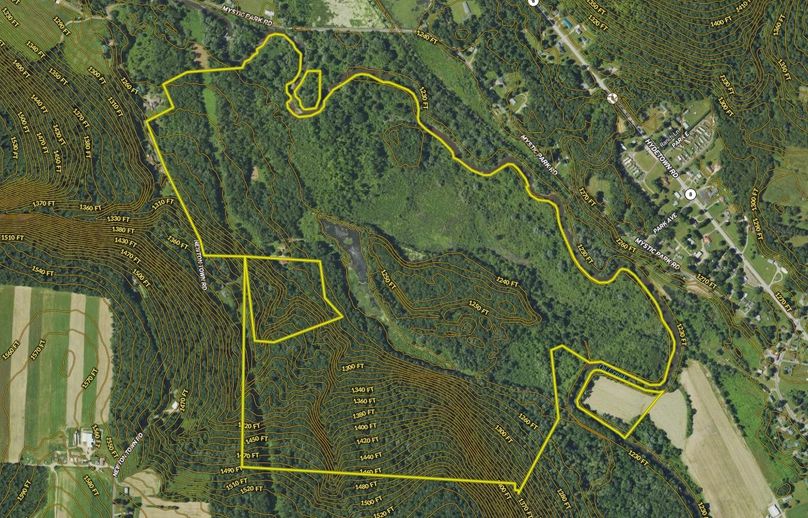 Screen Shot 2024-03-04 at 3.58.16 PM