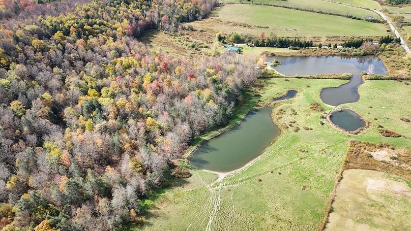 DJI_20251017124519_0699_D