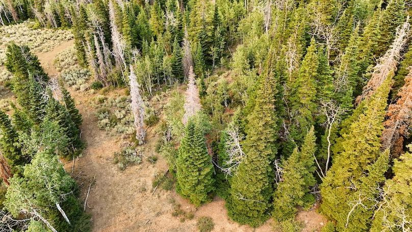 DJI_20250726175102_0171_D