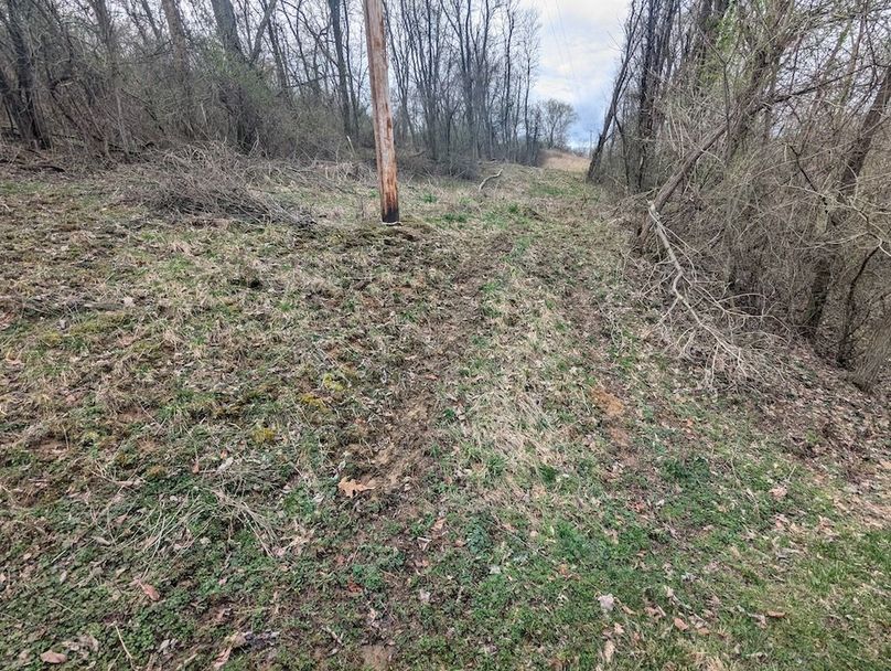 PXL_20250403_180214619