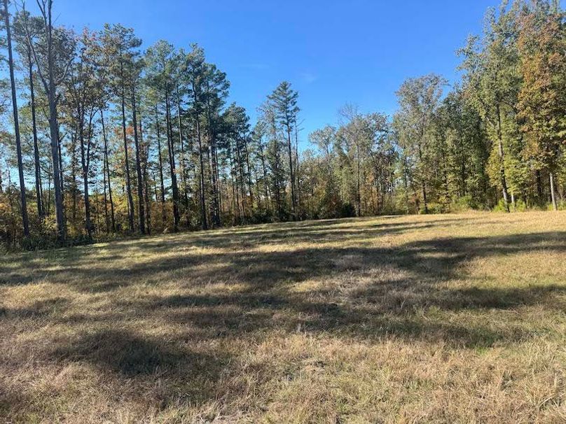 jeff 5020251111_0322