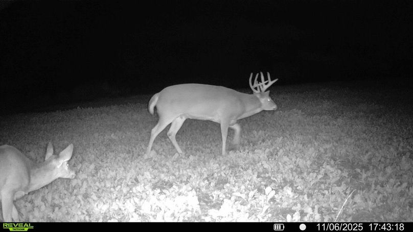 016578004304843-69-2-11062025183557-HD-SYFW01480