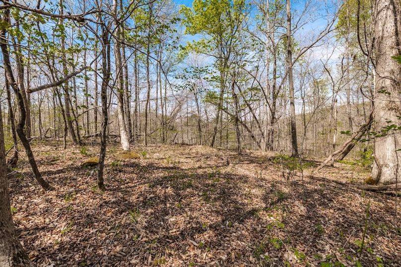 78-web-or-mls-0 Mound Creek Rd-48