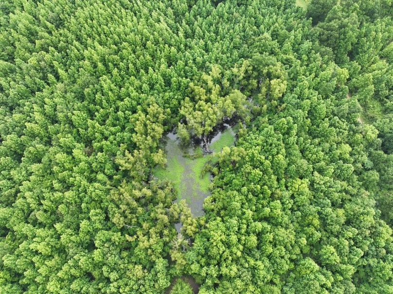 dji_fly_20260523_120322_484_1779631843615_photo
