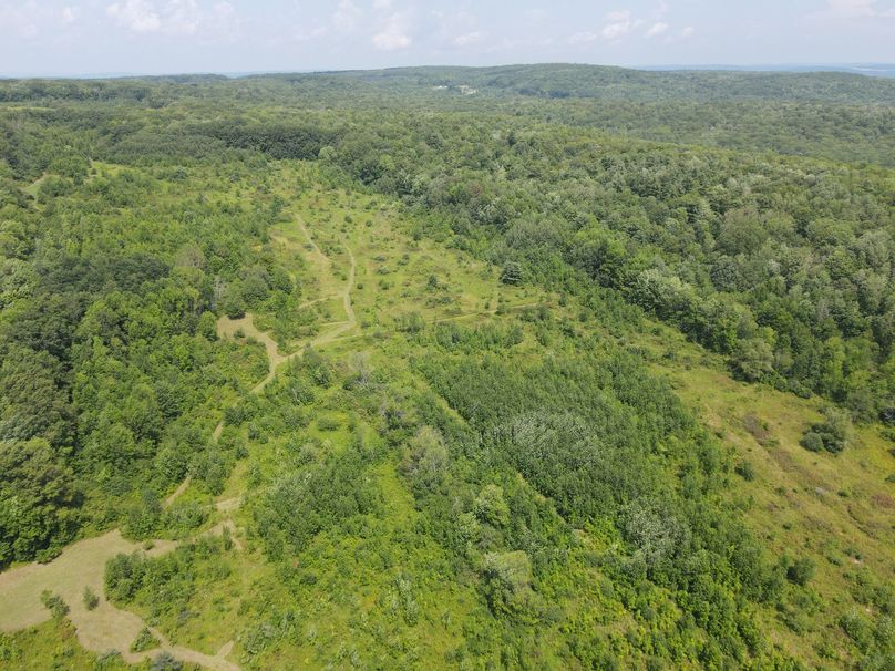 dji_fly_20230809_134032_778_1691602880455_photo