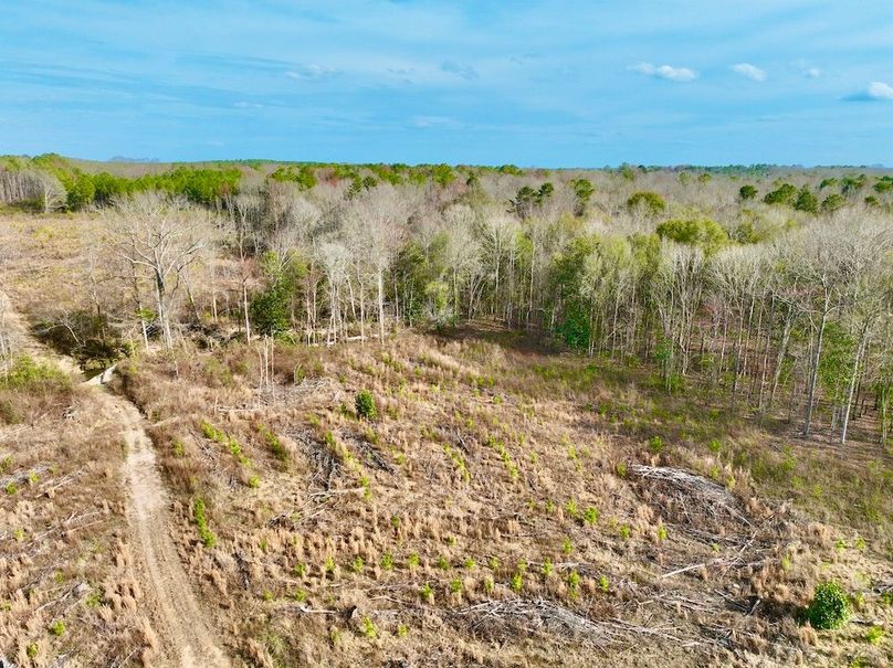 4C271EEE-0D8D-4A50-AFC4-74FE193C7870_1_201_a