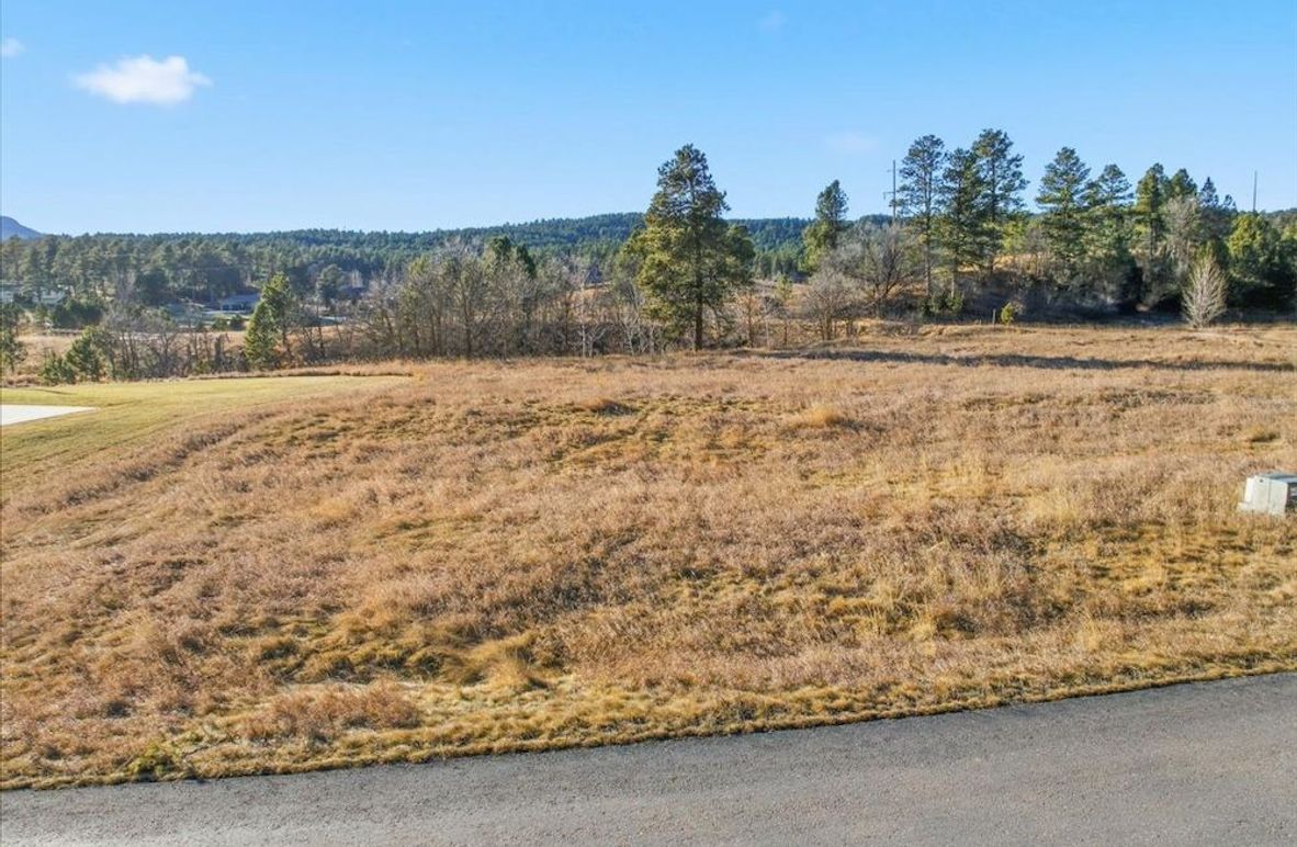 03-TBD Crook Mountain Road-11