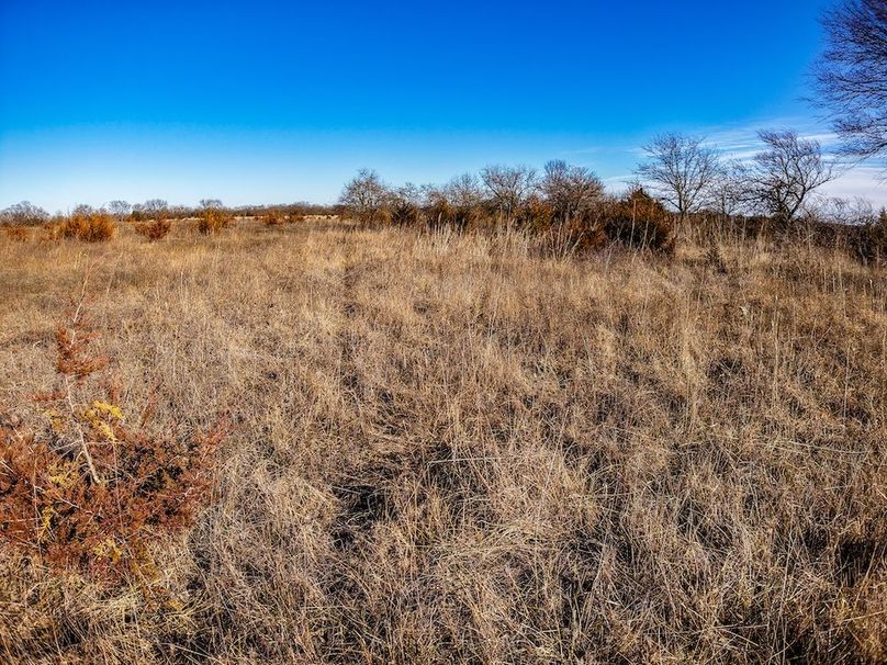 DJI_20260119150338_0869_D