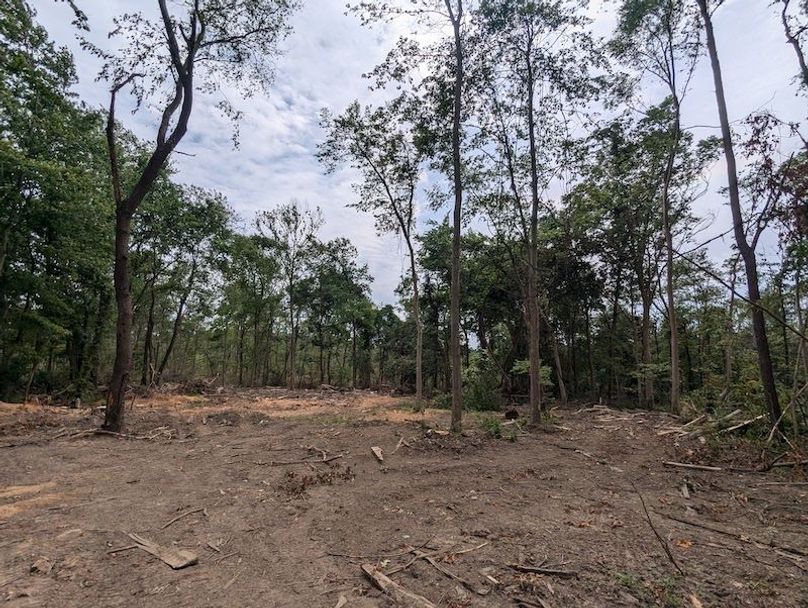 PXL_20240625_183332440