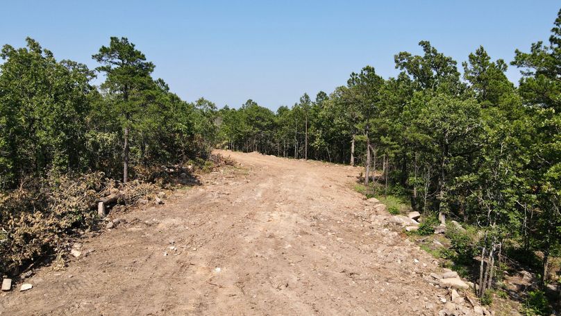 dji_fly_20230624_161712_945_1687641462451_photo