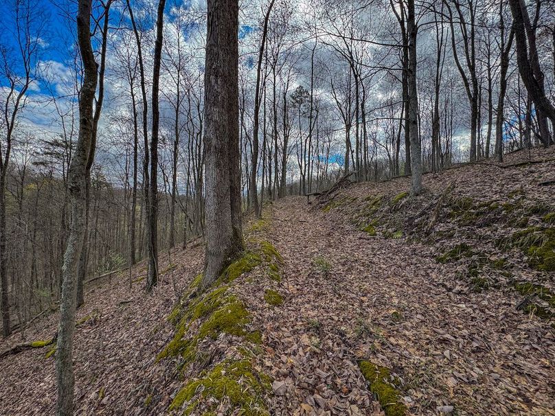 Wirt, WV 62.5 AC Full-14