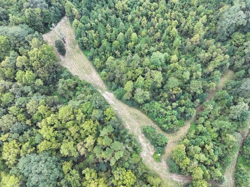 dji_fly_20250924_092856_0529_1758726286861_photo