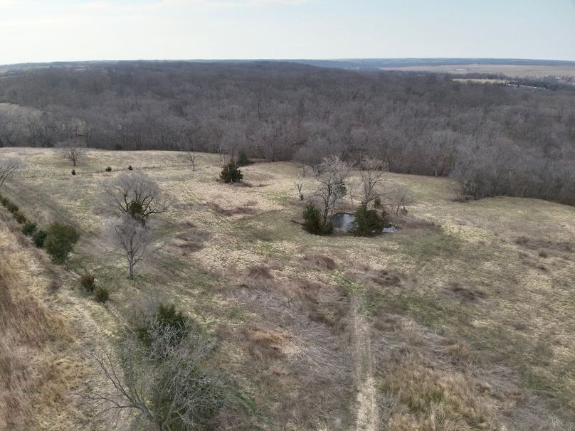 F2F30EF5-DC4A-4BD3-AD91-B1ACE14600FE_1_201_a