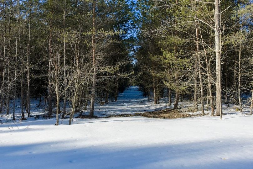 DJI_20260327180949_0528_D