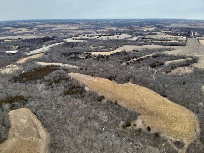 65D9C2D5-7F59-4FDC-BFF8-32D0EB2BBF99_1_201_a