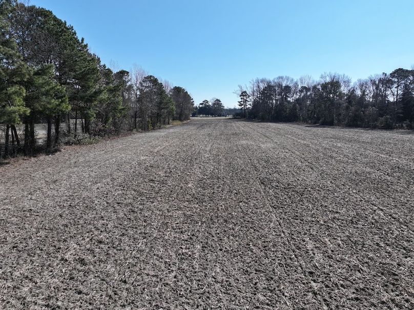 DJI_20260201121252_0409_D