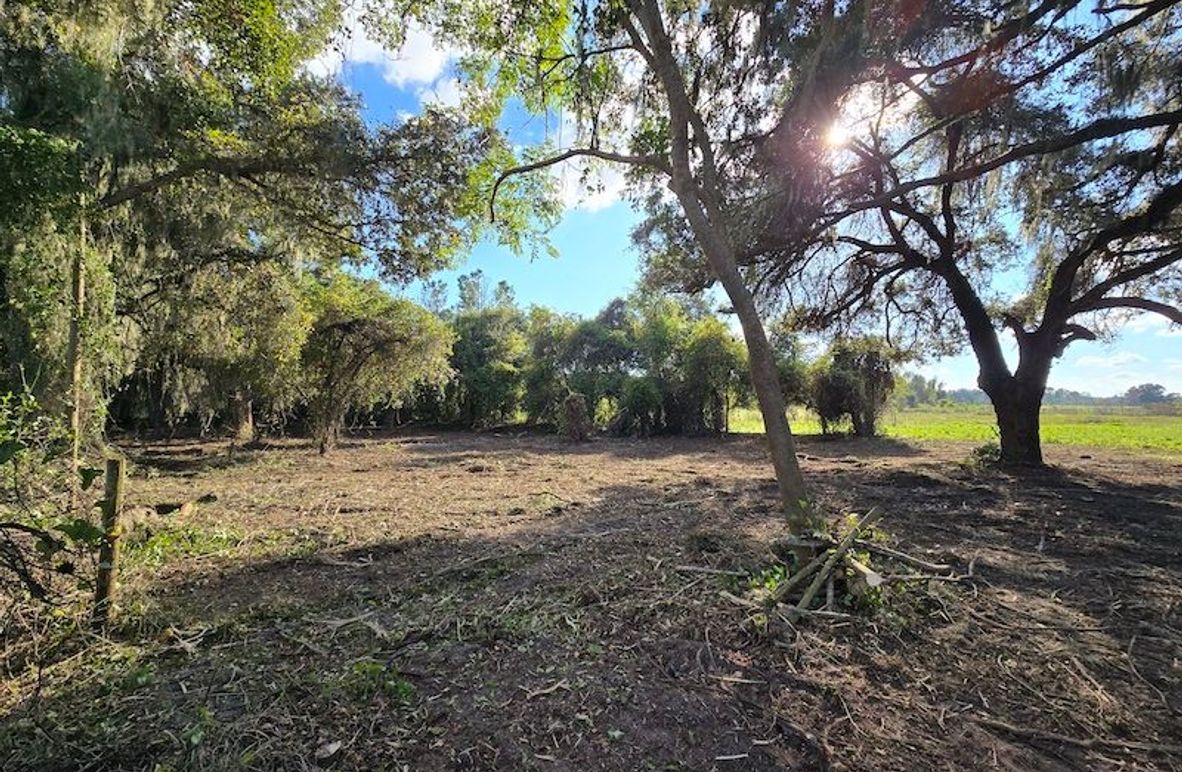 21ac, Sumter, Reelvest04