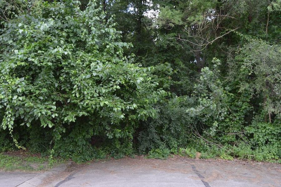 NW corner