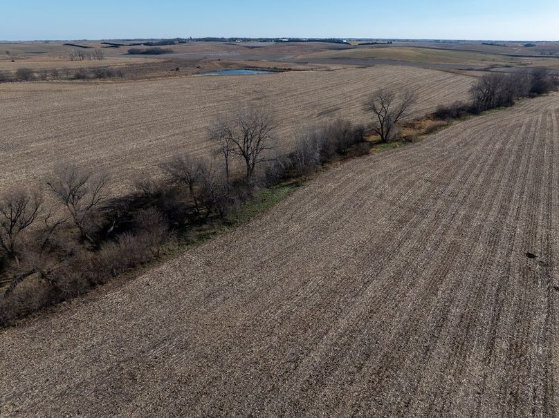 DJI_20251123135312_0054_D