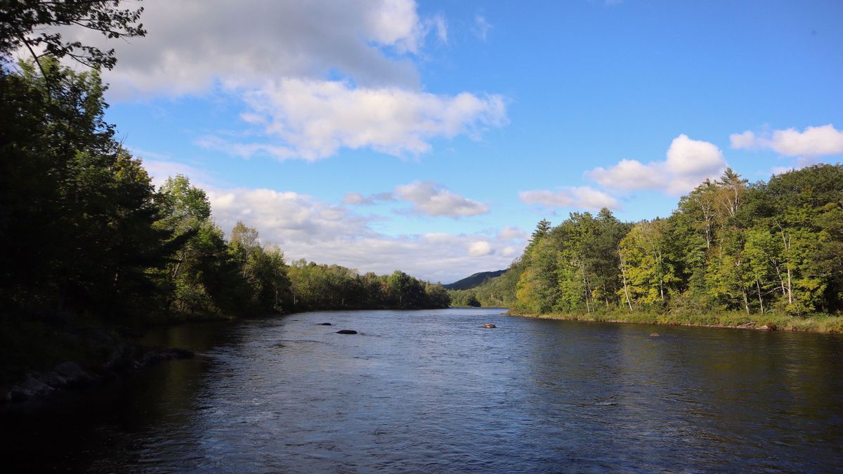 Hudson River Boat Launch Whitetail Properties